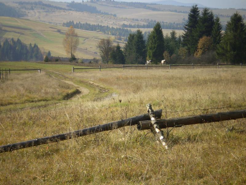 Перлина Карпат - Лімна