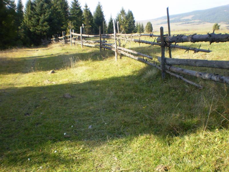 Перлина Карпат - Лімна