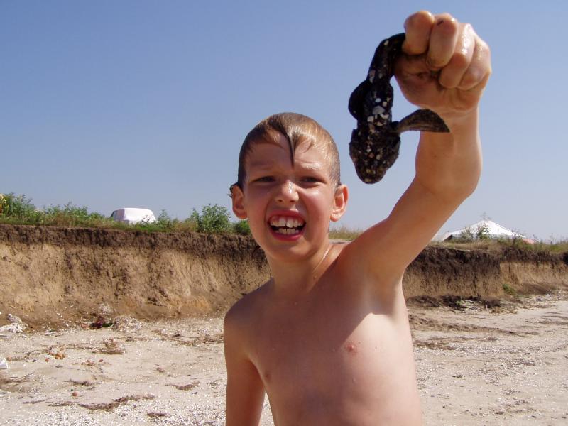 рыба в Райновке - Райнівка