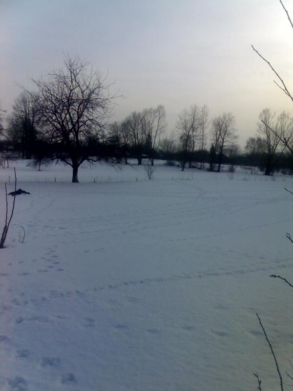 Вигін - Козельное