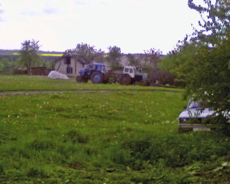 Види Боричівки - Боричівка