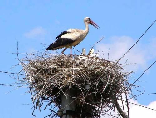 иванна - Івано-Яризівка