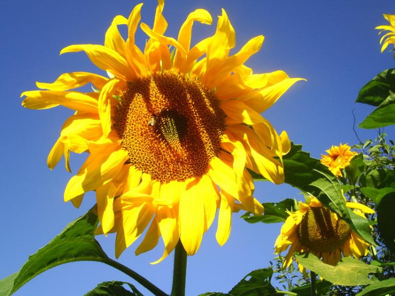 наше місто - Ратне