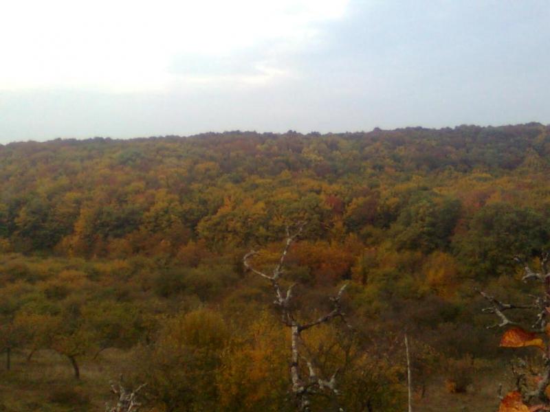 краєвиди Явче - Явче