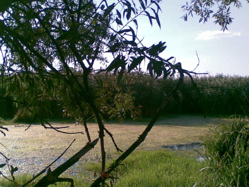 араповка - Араповка