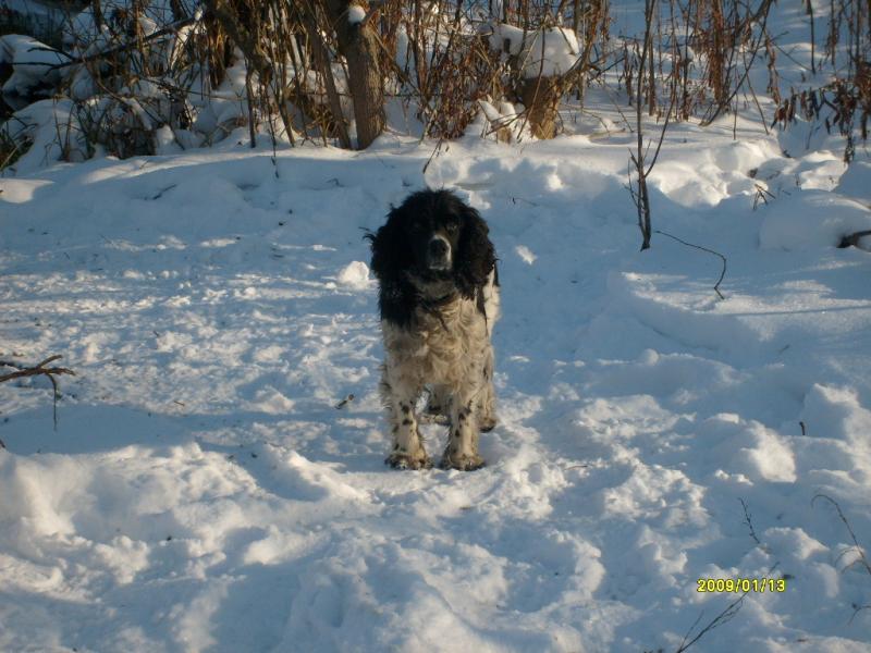 7 - Араповка