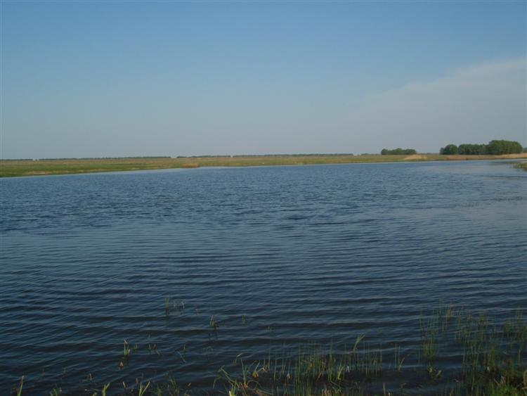 Краєвиди та життя Нової Басані - Нова Басань