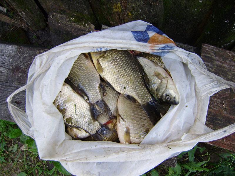 Рожковичи - Рожковичі