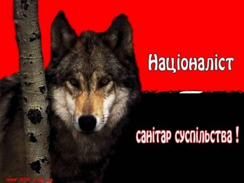 Символіка - Несвіч