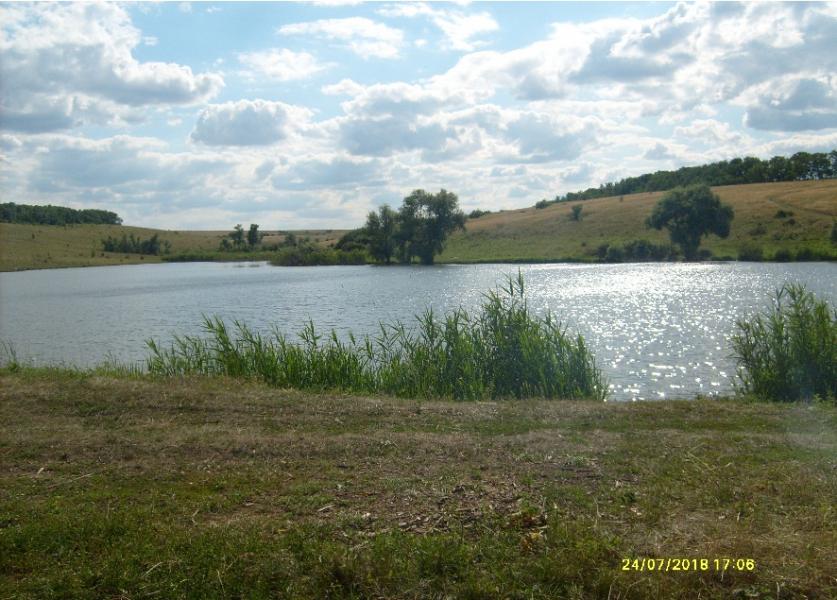 араповка - Араповка