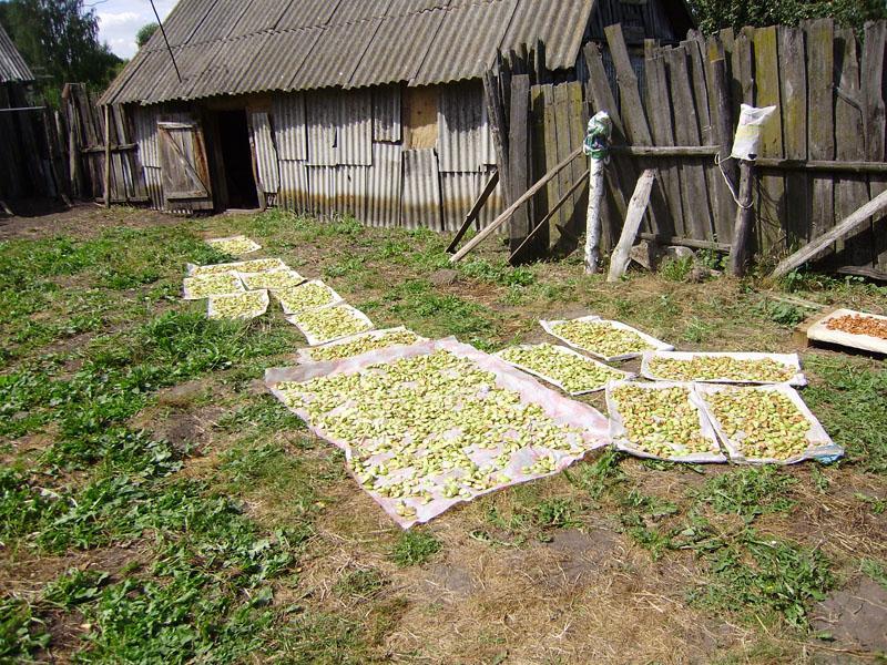 Рожковичи - Рожковичі