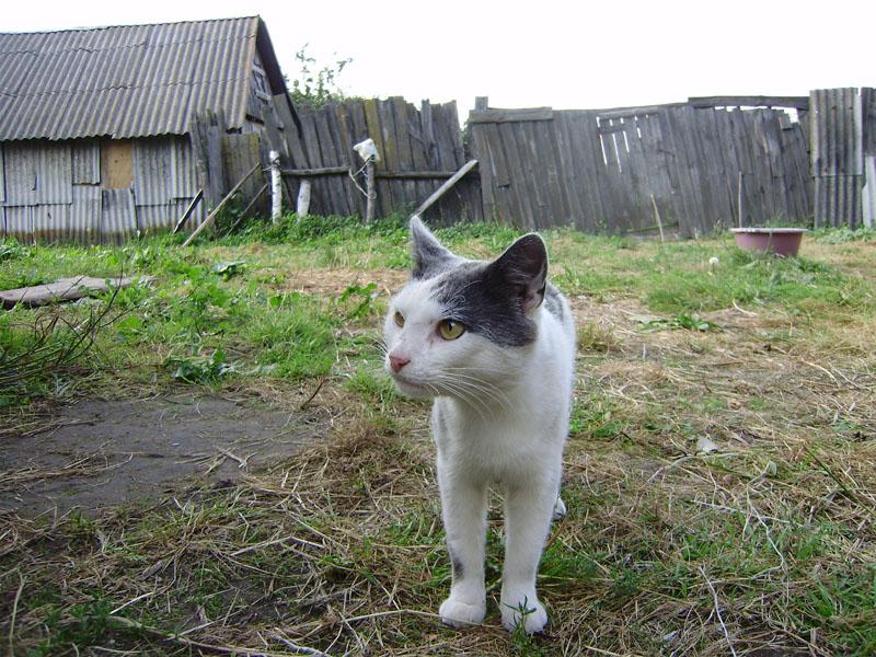 Рожковичи - Рожковичі