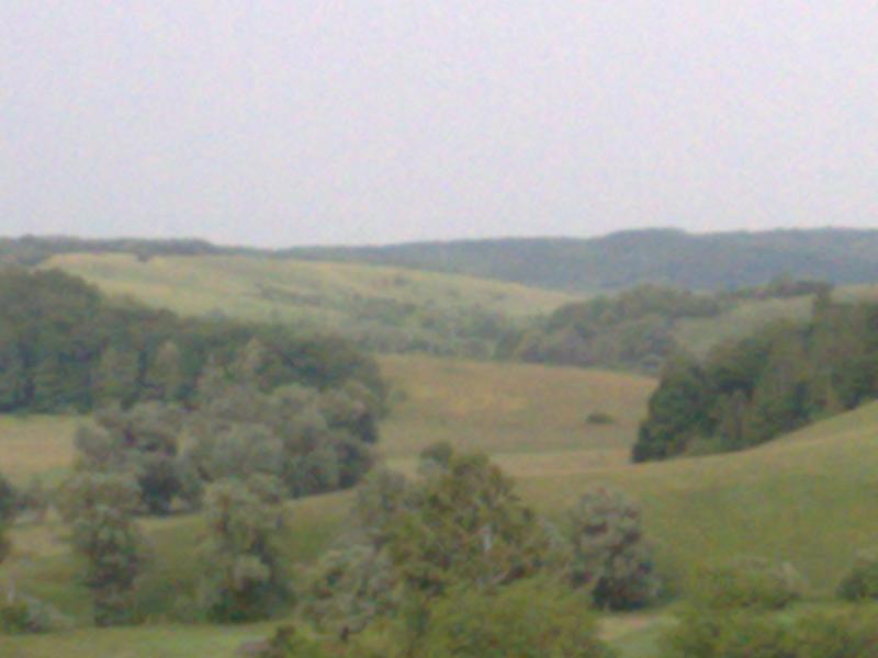 Губське мальовниче - Губське