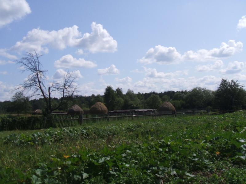 будимля - Будимля