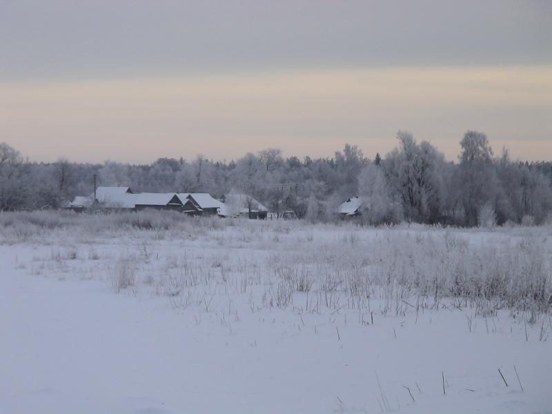 Чип - Красичка