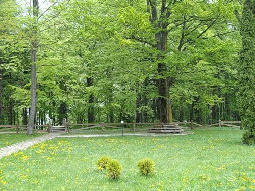 Тиса - Княждвір