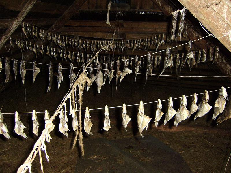 Рожковичи - Рожковичі