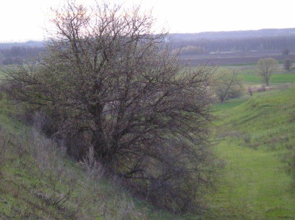 Моє село - Антипівка