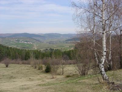 Промінь - Білі Ослави