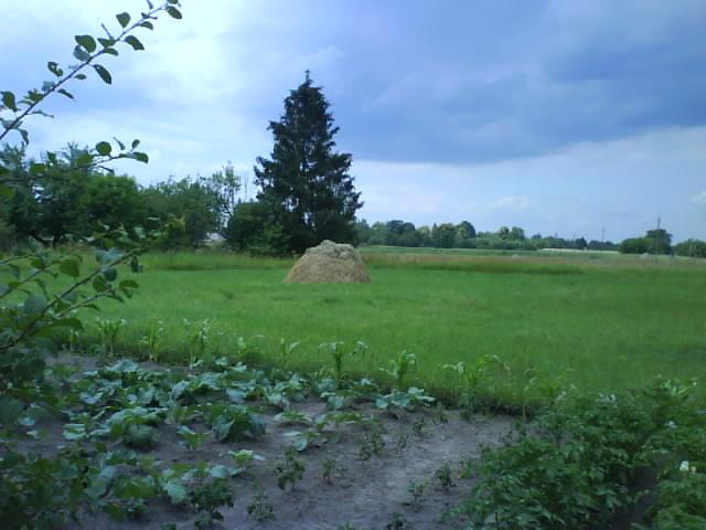 любимое село - Забілоччя