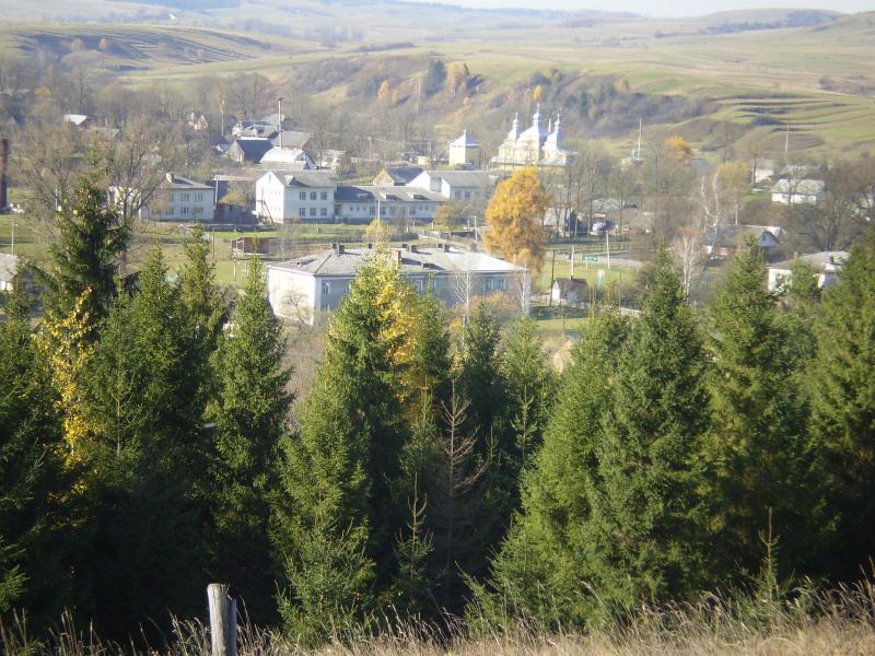 Перлина Карпат - Лімна