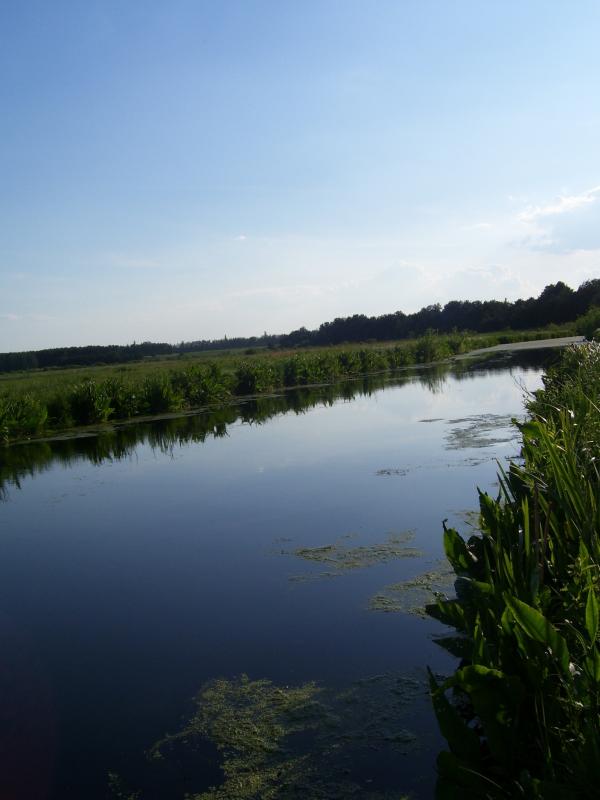Бережки рідне село - Бережки