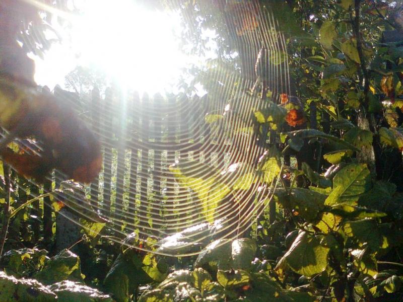 краєвиди Явче - Явче