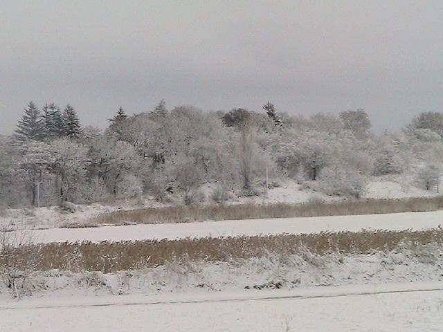 Несвіч - Несвечь