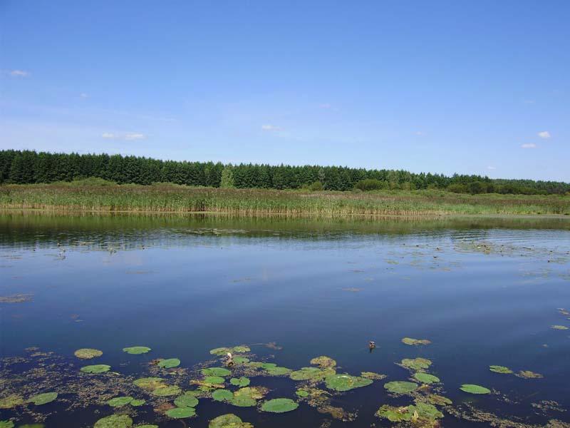 Рожковичи - Рожковичі