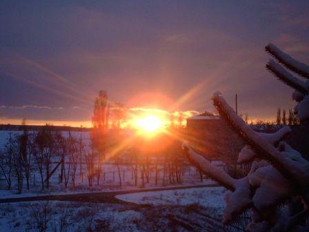 Природа - Цветочное