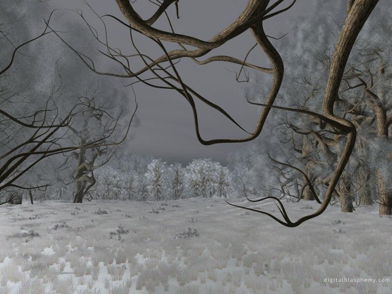 картинки - Райозеро