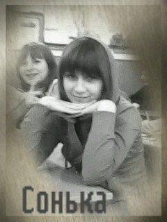 цицори рулять - Цицори