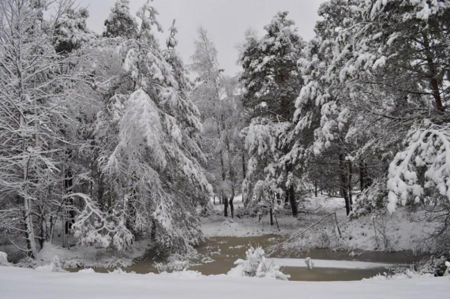 перебродівська зимова казка.... - Переброди