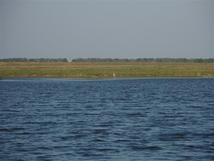 Краєвиди та життя Нової Басані - Нова Басань