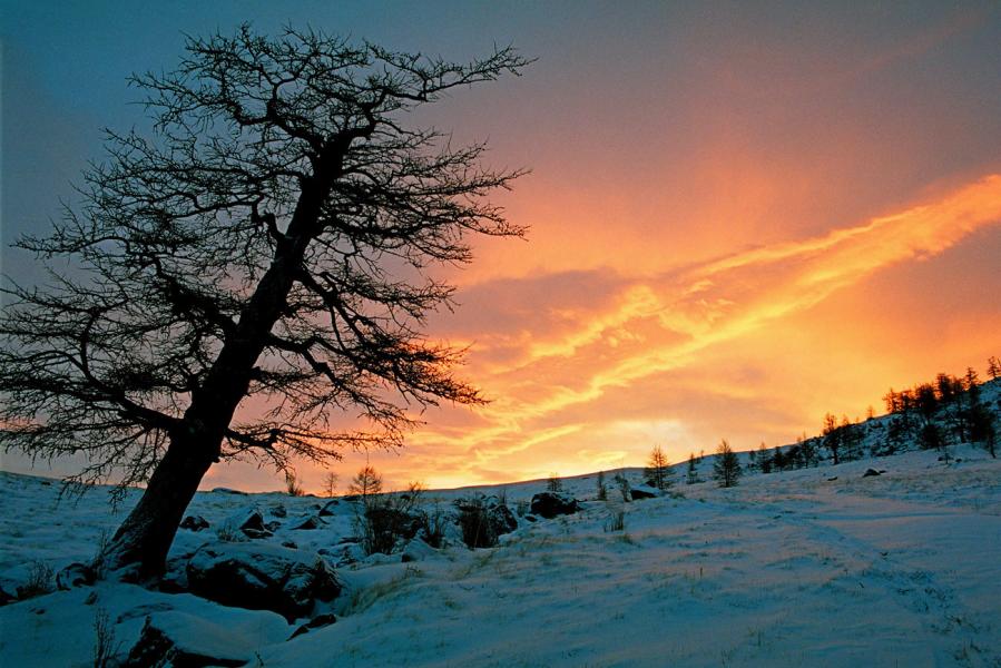  картинки - Райозеро