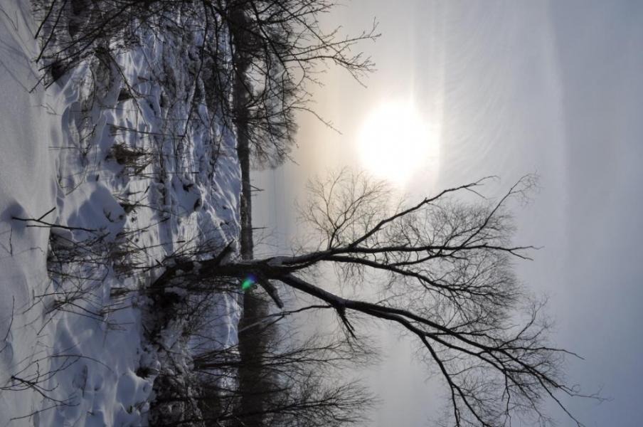 перебродівська зимова казка.... - Переброди