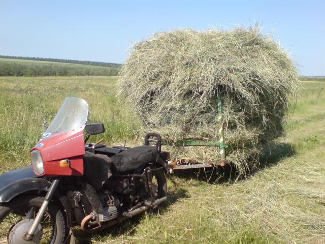 сінокос - Півні