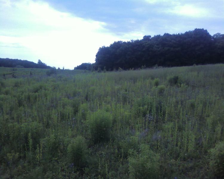 моє село - Ужинець