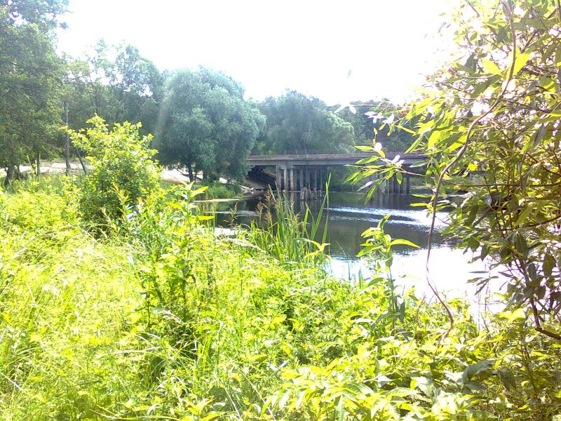 фото - Баничи