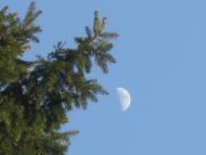 дело рук Творца