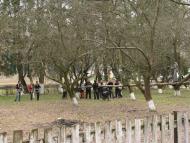 с.Вілія-школа,урок фізкультури