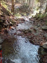 Пейзажі та околиці Лімни