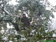 Пейзажі та околиці Лімни