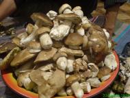 Пейзажі та околиці Лімни