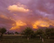 Цікавинки нашого села