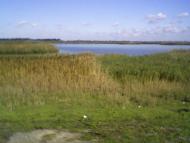 село моє рідне