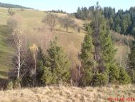 Пейзажі та околиці Лімни