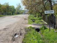 Пикуловичі