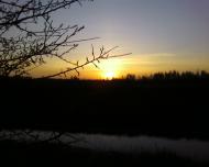 Мальовниче Березове