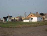 місцеві колорити